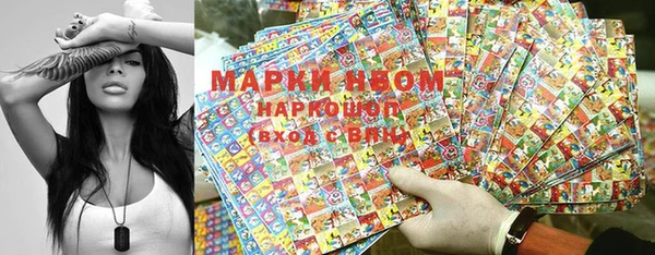 сатива Карталы