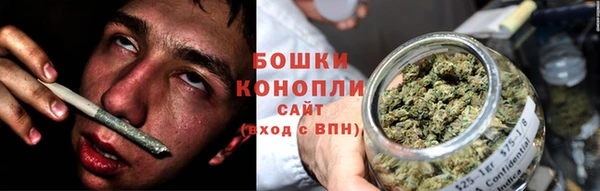 сатива Карталы