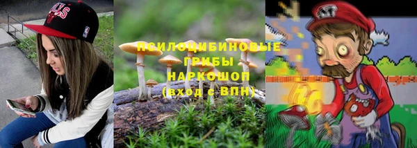 сатива Карталы