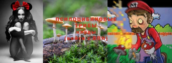 мяу мяу мука Касимов