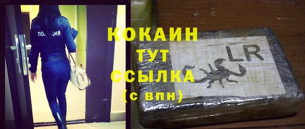 мяу мяу мука Касимов
